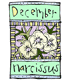 12月の花
