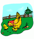 chicken_&_chicks_3